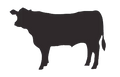 Whole Beef Package