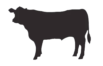 Whole Beef Package